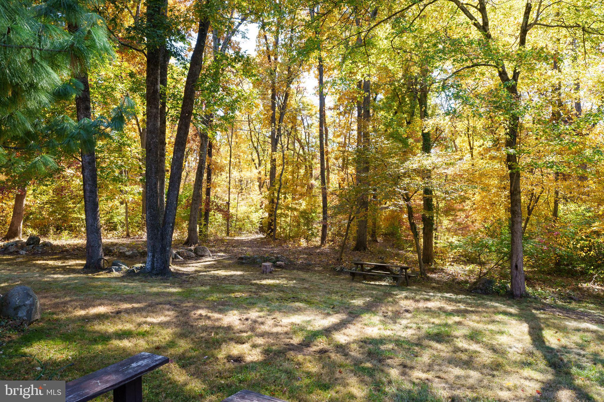 75 Hardy Drive Princeton, NJ 08540 - Photo 52 of 55