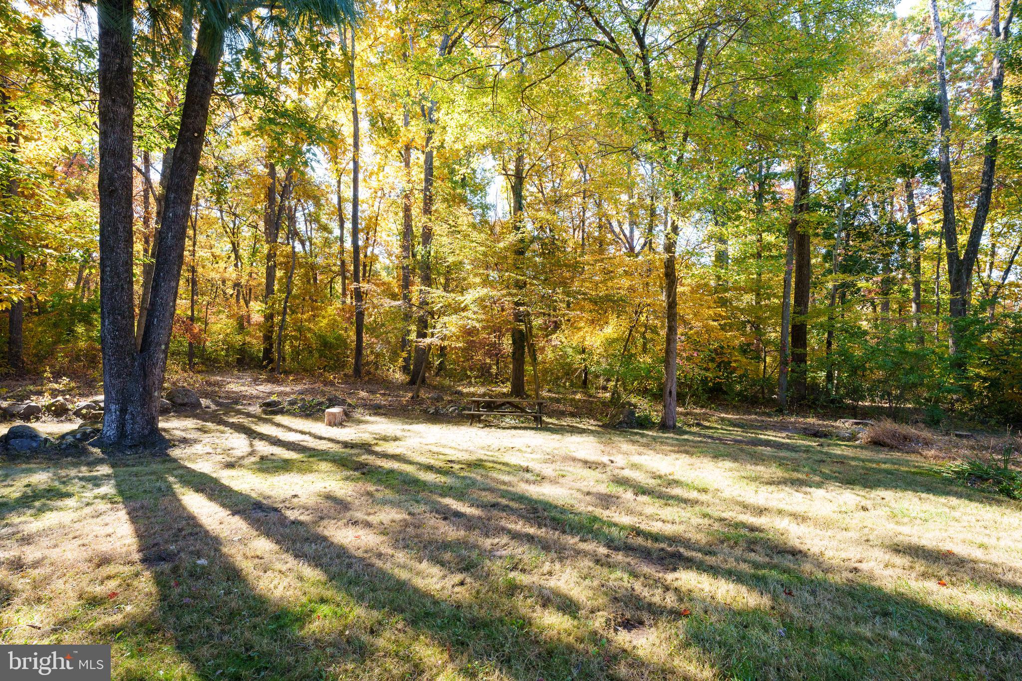 75 Hardy Drive Princeton, NJ 08540 - Photo 53 of 55