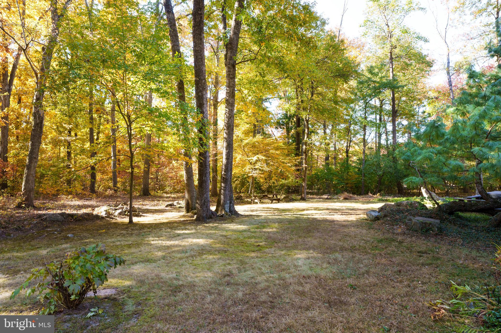 75 Hardy Drive Princeton, NJ 08540 - Photo 54 of 55