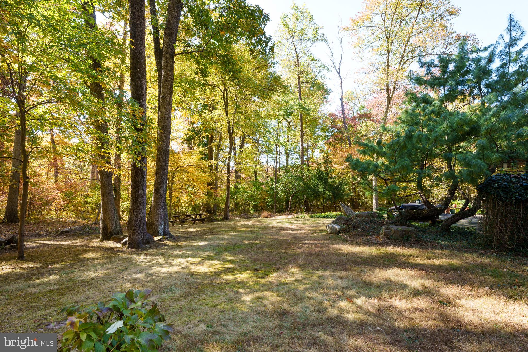 75 Hardy Drive Princeton, NJ 08540 - Photo 55 of 55