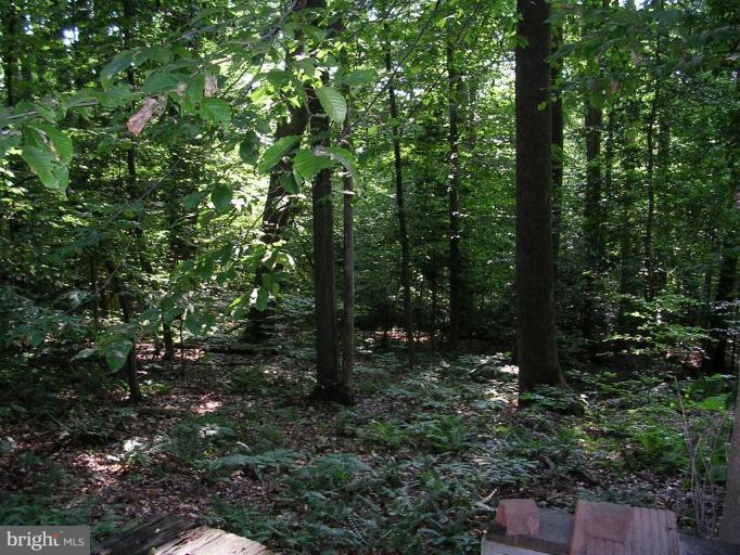 2704 Hidden Valley Road Accokeek, MD 20607 - Photo 14 of 15 a view of outdoor space and green space
