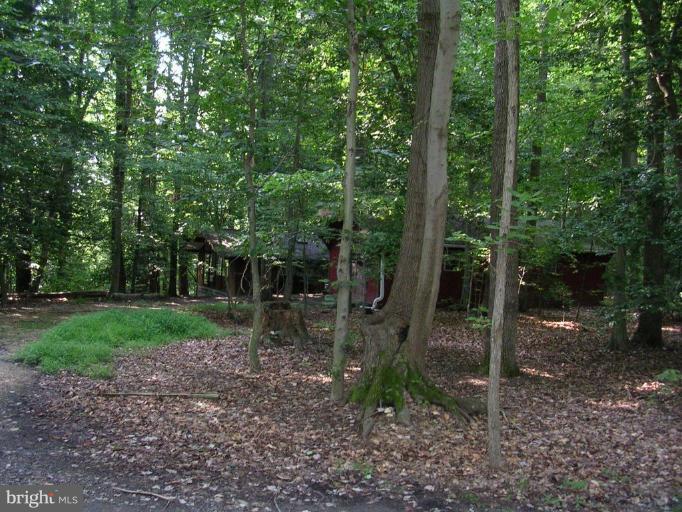 2704 Hidden Valley Road Accokeek, MD 20607 - Photo 6 of 15 a backyard of a house with lots of green space