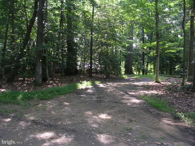 2704 Hidden Valley Road Accokeek, MD 20607 - Photo 8 of 15 a view of outdoor space with trees