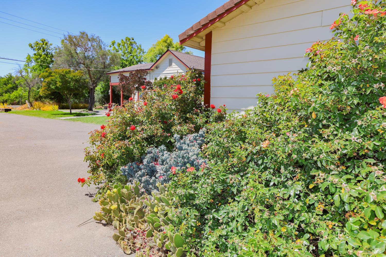 7948 North Meridian Road Dixon, CA 95620 - Photo 43 of 59 a view of a house with a flower garden