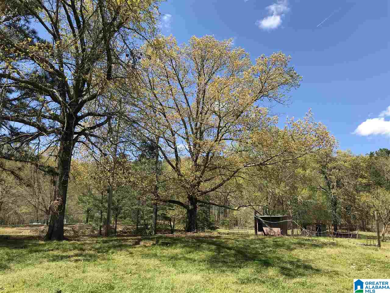 346 Hunters Lane Vandiver, AL 35176 - Photo 20 of 38
