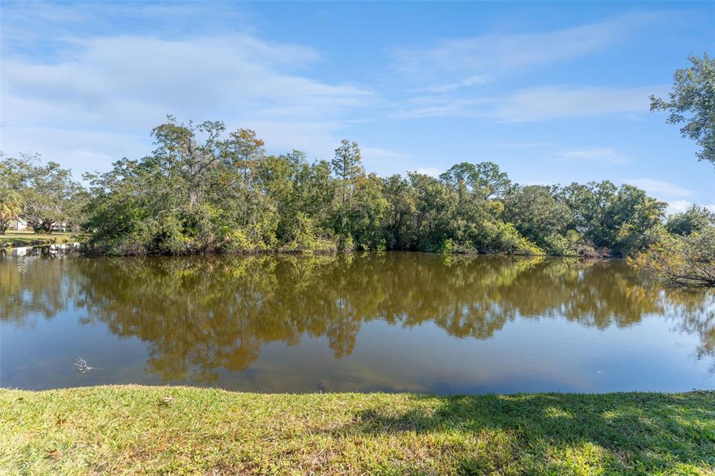 219 Cypress Court, Unit 219 Oldsmar, FL 34677 - Photo 30 of 34 a view of lake
