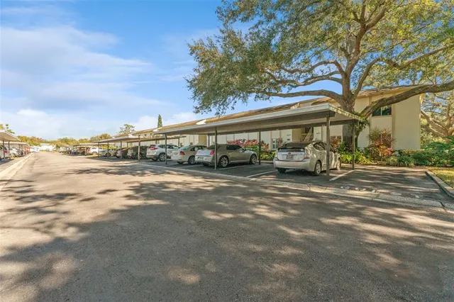 $1,725 | 219 Cypress Court, Unit 219, Oldsmar, FL 34677