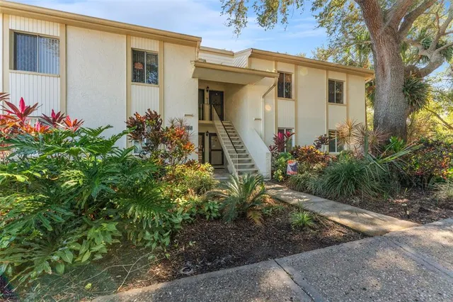 $1,725 | 219 Cypress Court, Unit 219, Oldsmar, FL 34677