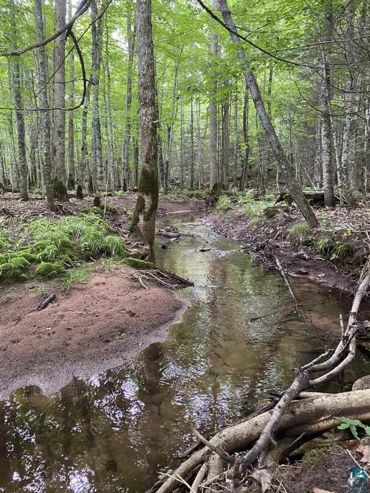 0 Erkkila Road Brule, WI 54820 - Photo 1 of 4