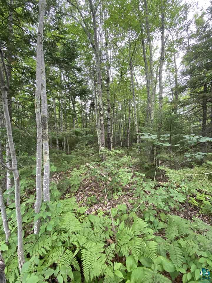 0 Erkkila Road Brule, WI 54820 - Photo 2 of 4