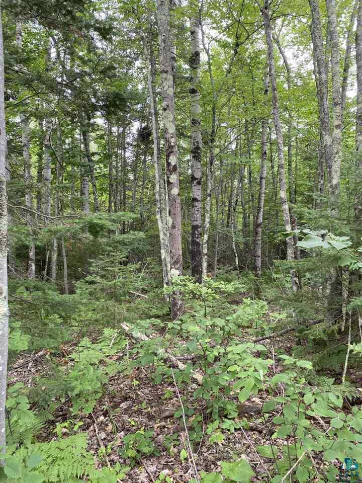 0 Erkkila Road Brule, WI 54820 - Photo 3 of 4