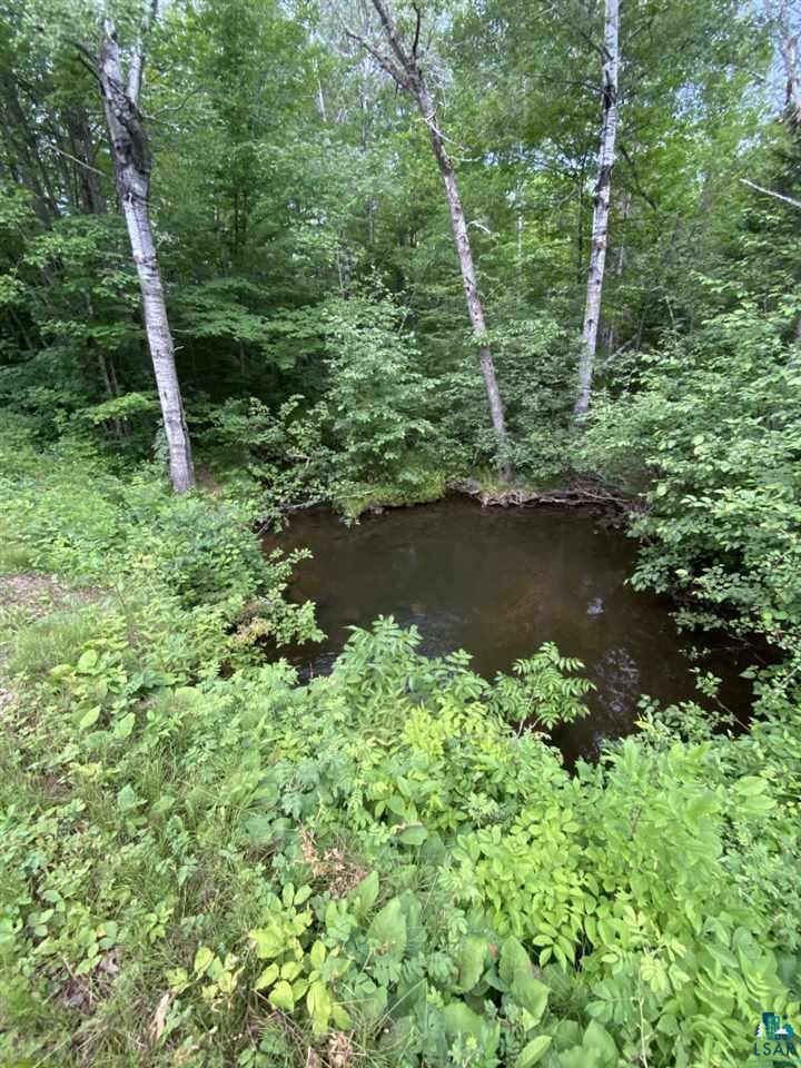 0 Erkkila Road Brule, WI 54820 - Photo 4 of 4