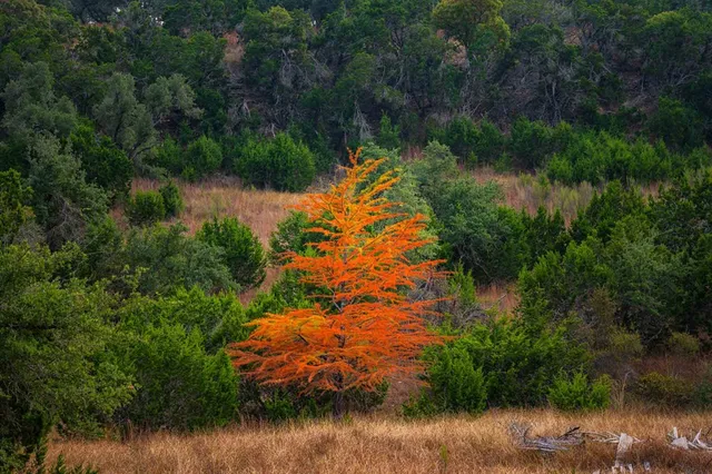 a view of a lake with a yard