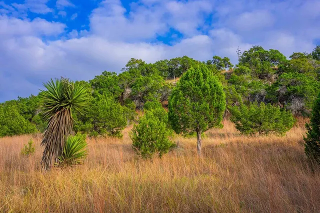 a backyard of a house with lots of green space and fountain