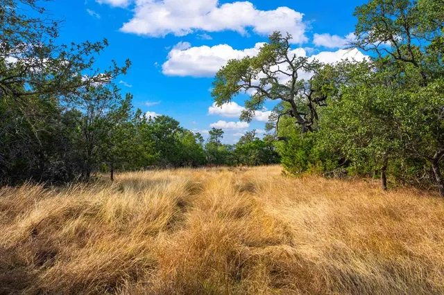 a view of a lake with a tree