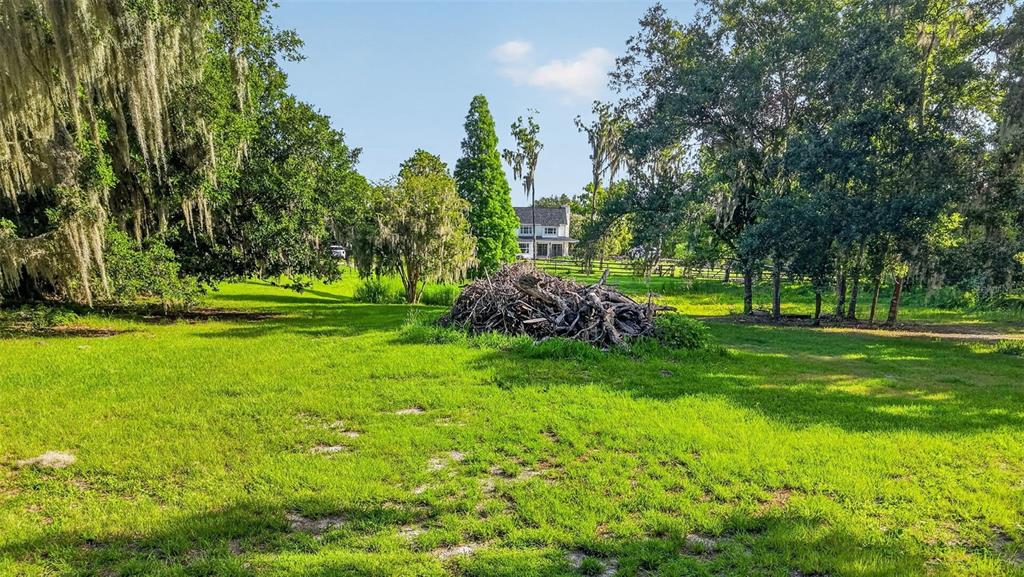 8922 Pritcher Road Lithia, FL 33547 - Photo 65 of 73