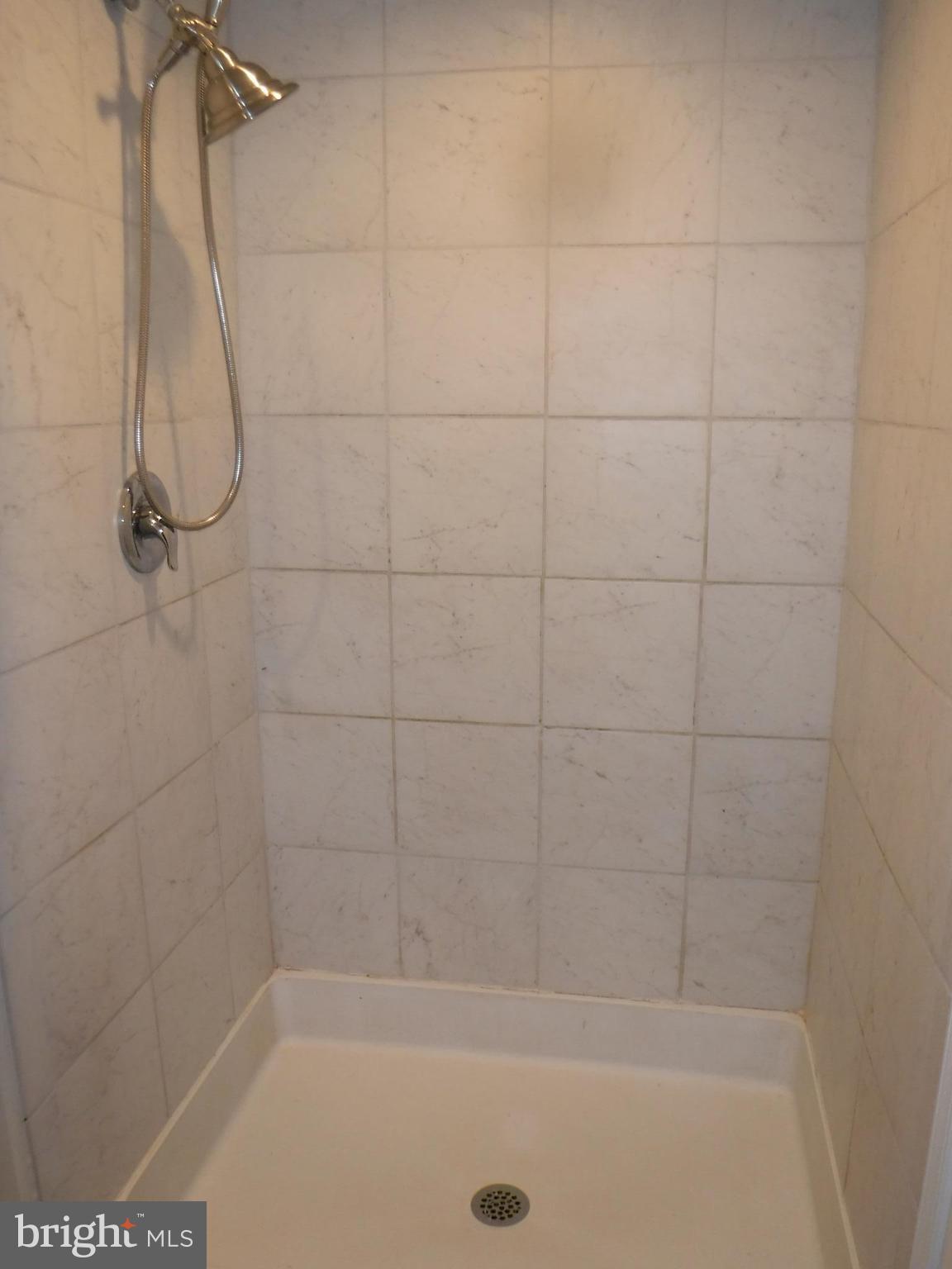 7222 Wheeler Road Boonsboro, MD 21713 - Photo 16 of 27 SEPARATE SHOWER WHEN YOU DONT HAVE TIME FOR TUB