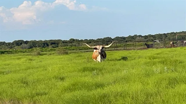 a view of a lake with a big yard