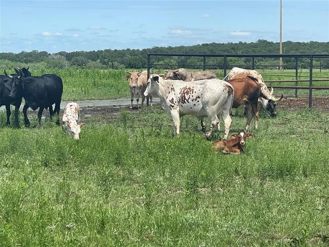 a view of a lake with a yard and outdoor seating