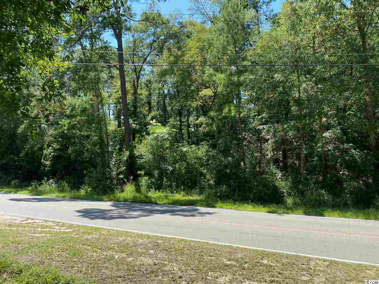 Tbd Mill Pond Road Myrtle Beach, SC 29588 - Photo 1 of 3 Gallery Image 1