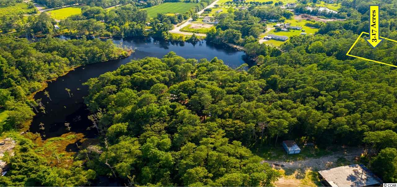 Tbd Mill Pond Road Myrtle Beach, SC 29588 - Photo 3 of 3 Gallery Image 3