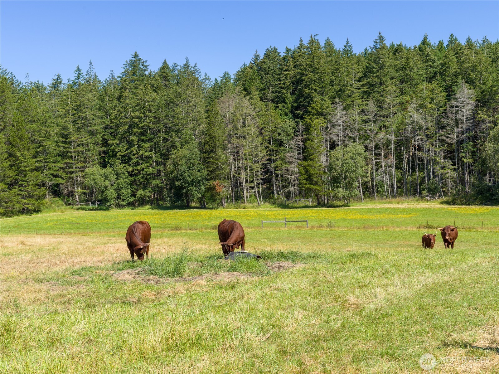 631 Cousins Road Lopez Island, WA 98261 - Photo 13 of 40 Gallery Image 13