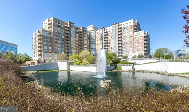 a view of lake with tall building