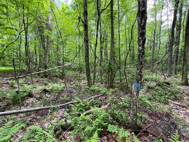 $359,000 | Ball Hill Road, Milford, NH 03055