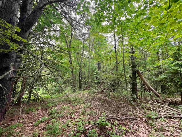 $359,000 | Ball Hill Road, Milford, NH 03055