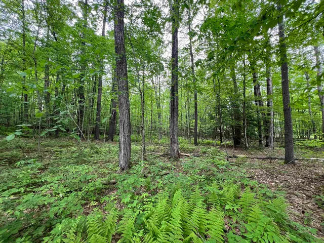 $359,000 | Ball Hill Road, Milford, NH 03055