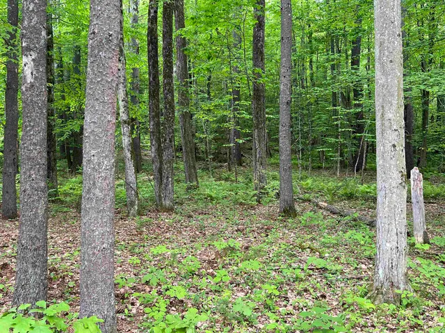 $359,000 | Ball Hill Road, Milford, NH 03055