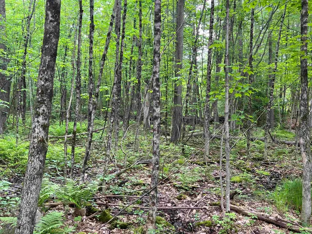 $359,000 | Ball Hill Road, Milford, NH 03055