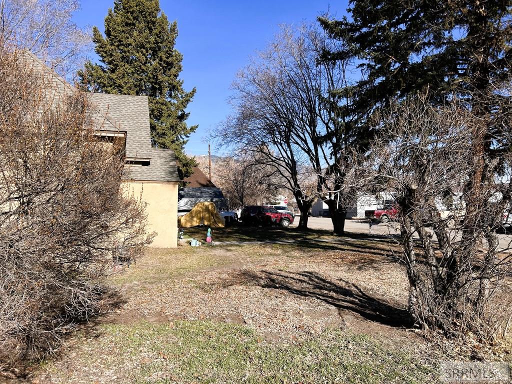 407 Lena Street Salmon, ID 83467 - Photo 5 of 28