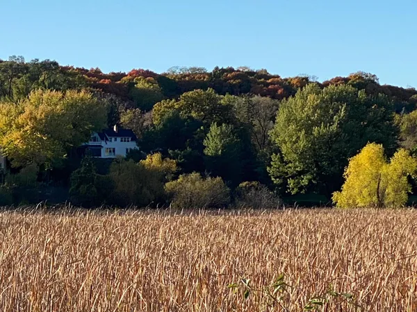 $1,999,900 | 440 North Arm Drive, Orono, MN 55364