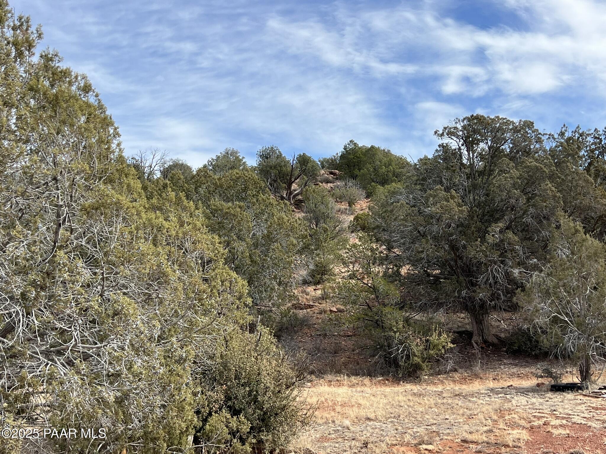 50 Bullock Road Ash Fork, AZ 86320 - Photo 11 of 12 a view of a yard with a tree