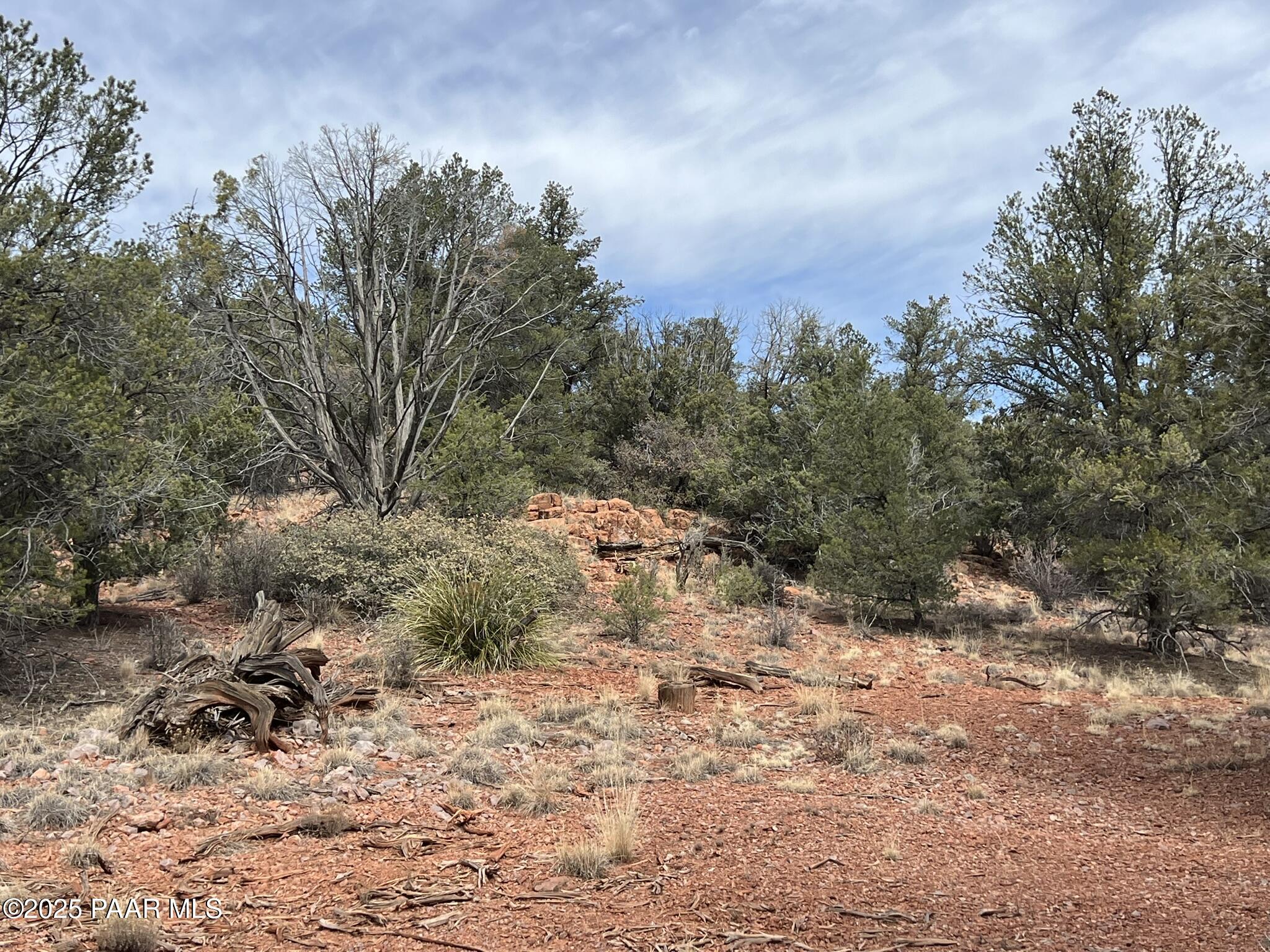 50 Bullock Road Ash Fork, AZ 86320 - Photo 5 of 12 a view of a yard with a tree