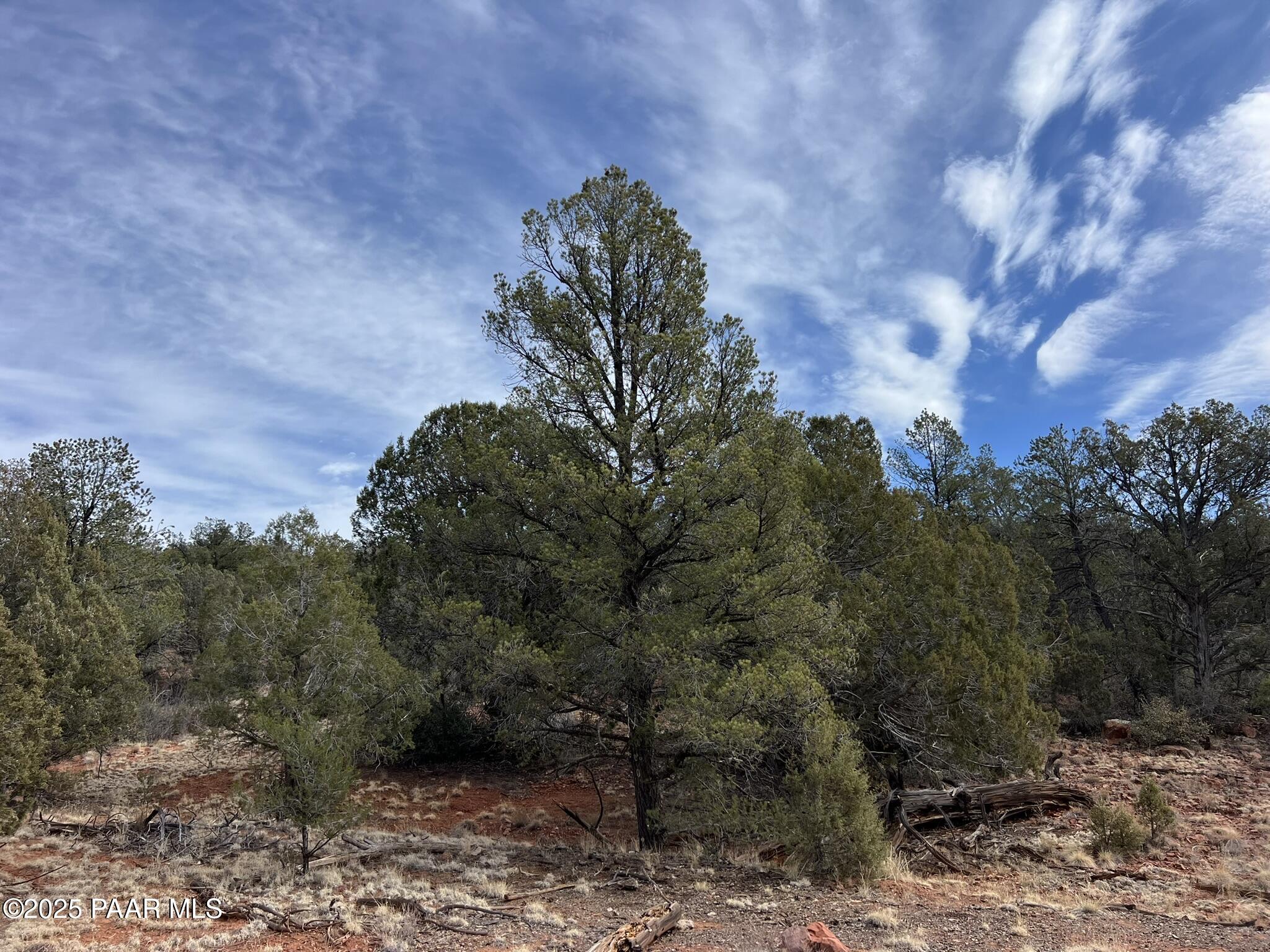 50 Bullock Road Ash Fork, AZ 86320 - Photo 6 of 12