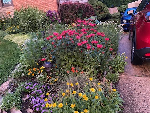 1118 Manchester Road Wheaton, IL 60187 - Photo 9 of 19 a view of yard with flowers and flowers