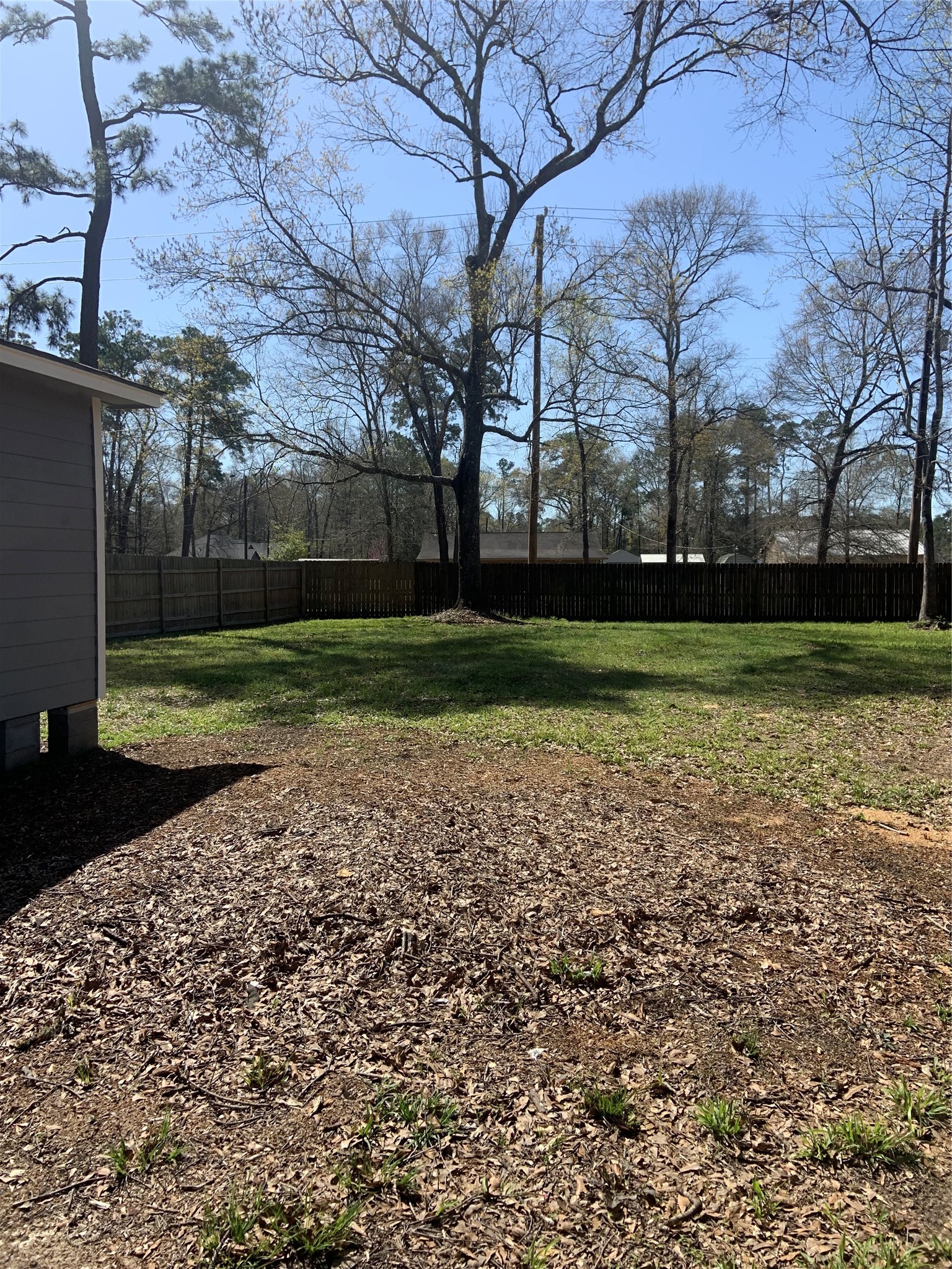 10978 Youpon Street Cleveland, TX 77328 - Photo 23 of 24 a view of a park and trees