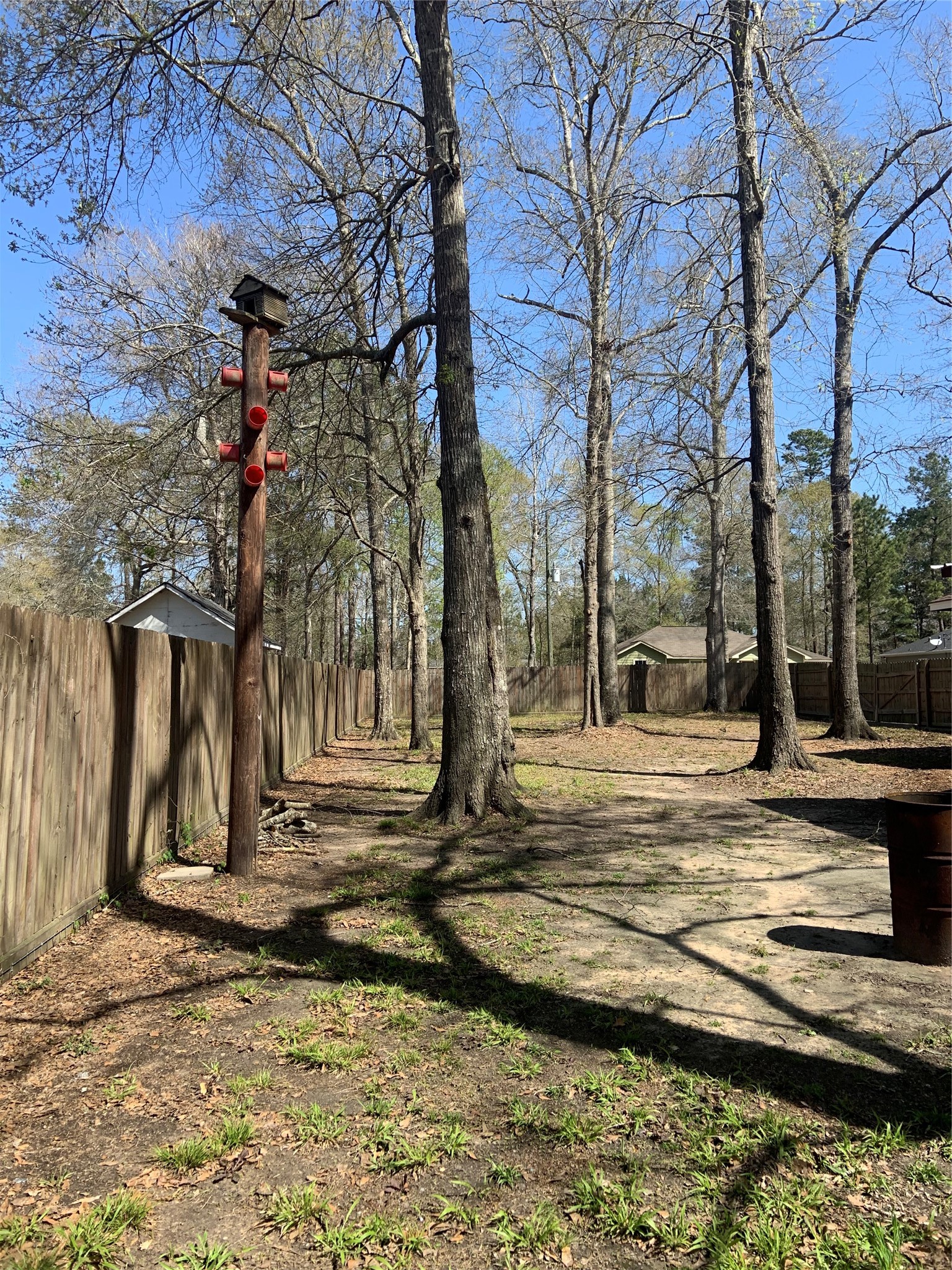 10978 Youpon Street Cleveland, TX 77328 - Photo 24 of 24 a view of street along with trees