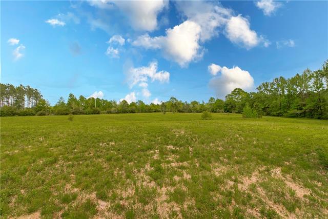 168 Winchester Road Poplarville, MS 39470 - Photo 41 of 42