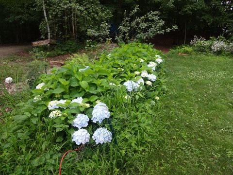 634 Black Brook Road Goffstown, NH 03045 - Photo 18 of 25 Gallery Image 18