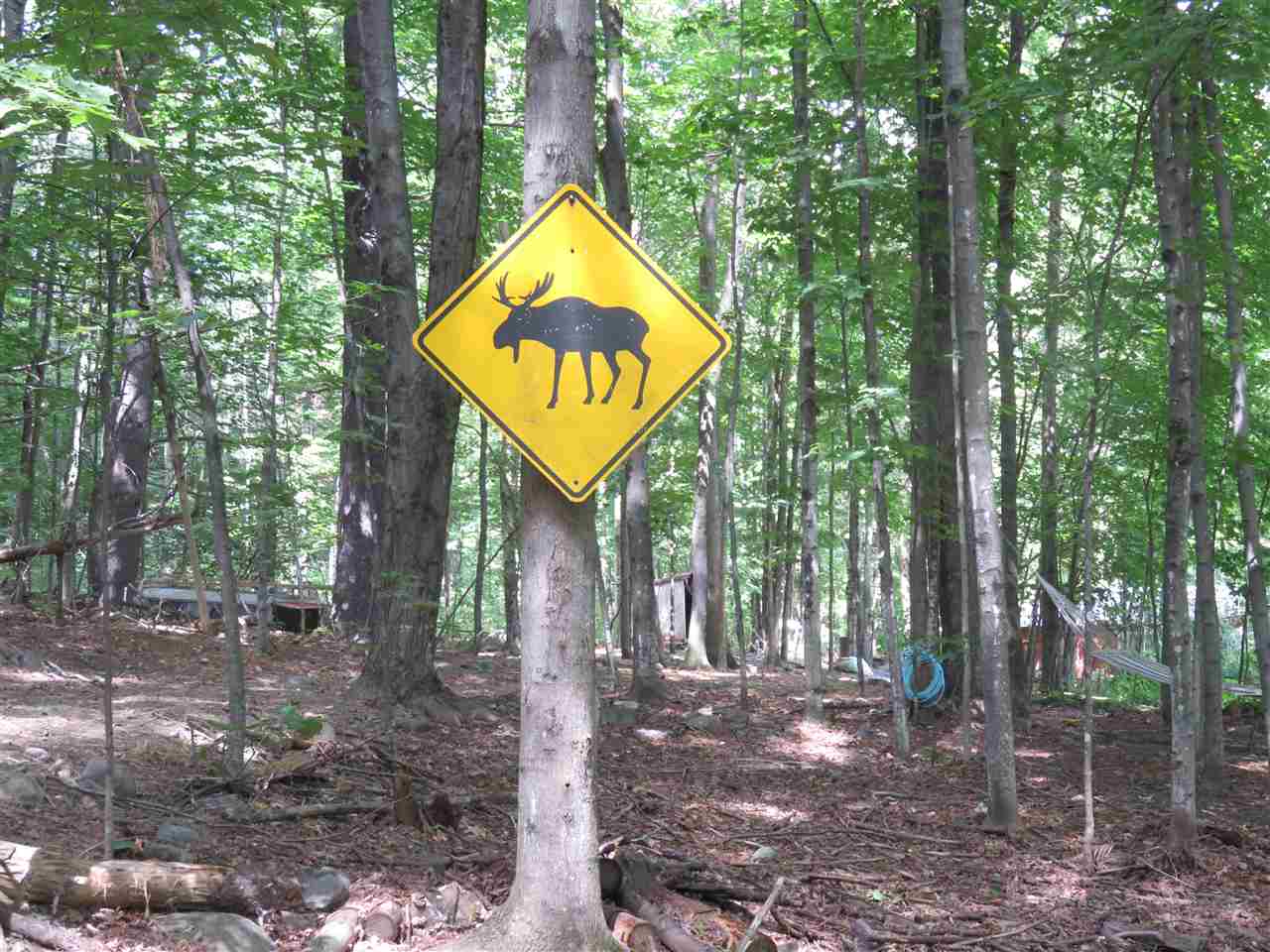 634 Black Brook Road Goffstown, NH 03045 - Photo 19 of 25 Gallery Image 19
