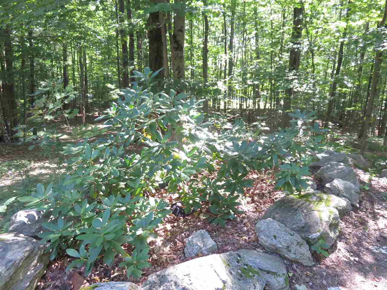 634 Black Brook Road Goffstown, NH 03045 - Photo 21 of 25 Gallery Image 21