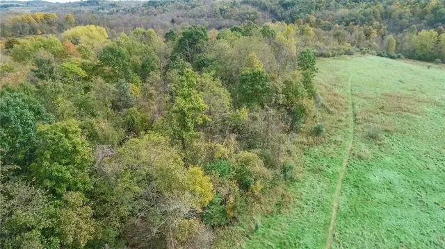 a view of a field of grass and trees