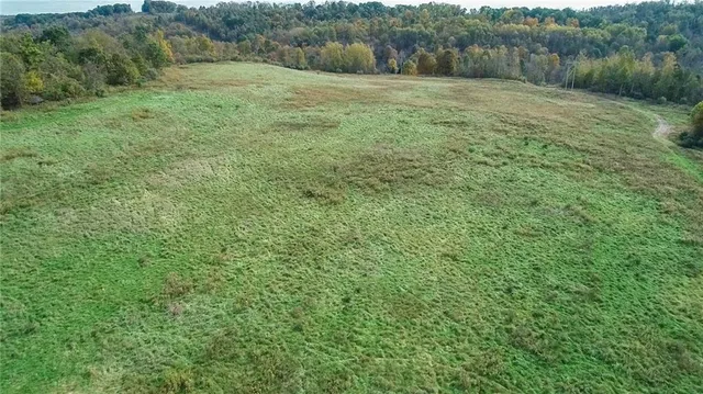 a view of a field of grass and trees