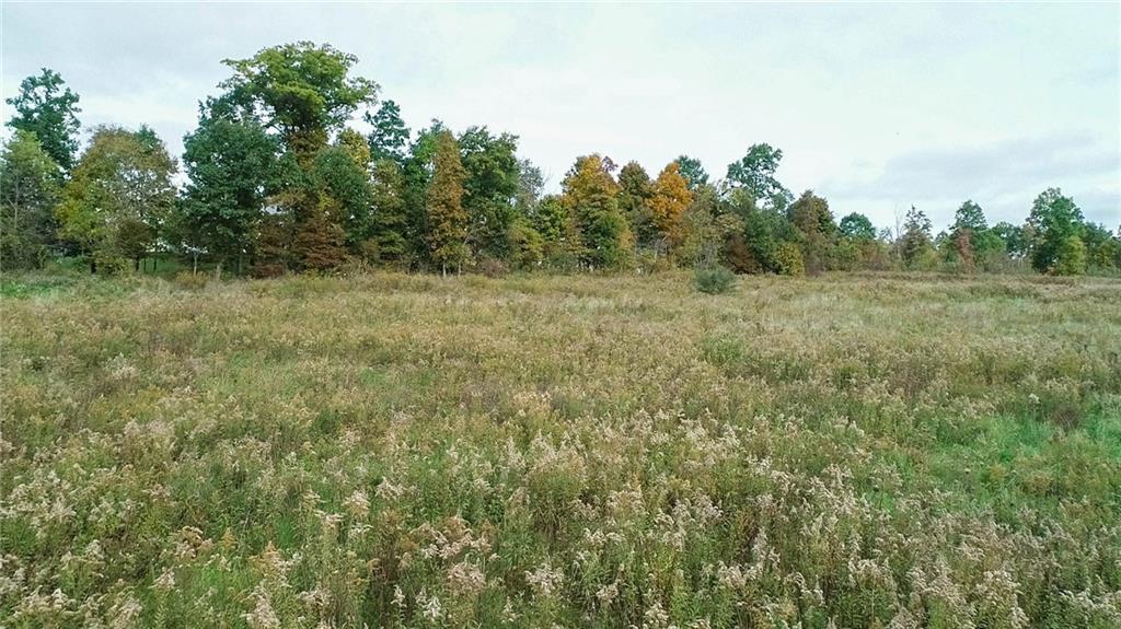 750 North Branch Road McDonald, PA 15057 - Photo 17 of 17 a view of a field of grass and trees