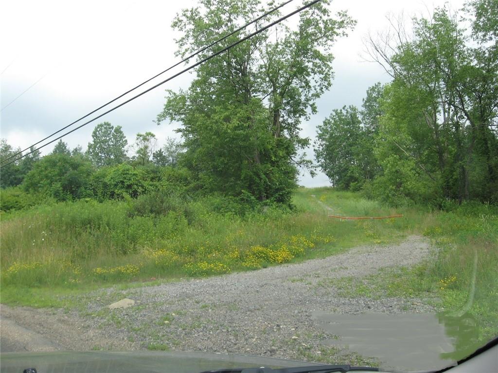 750 North Branch Road McDonald, PA 15057 - Photo 3 of 17 a view of a yard with a tree