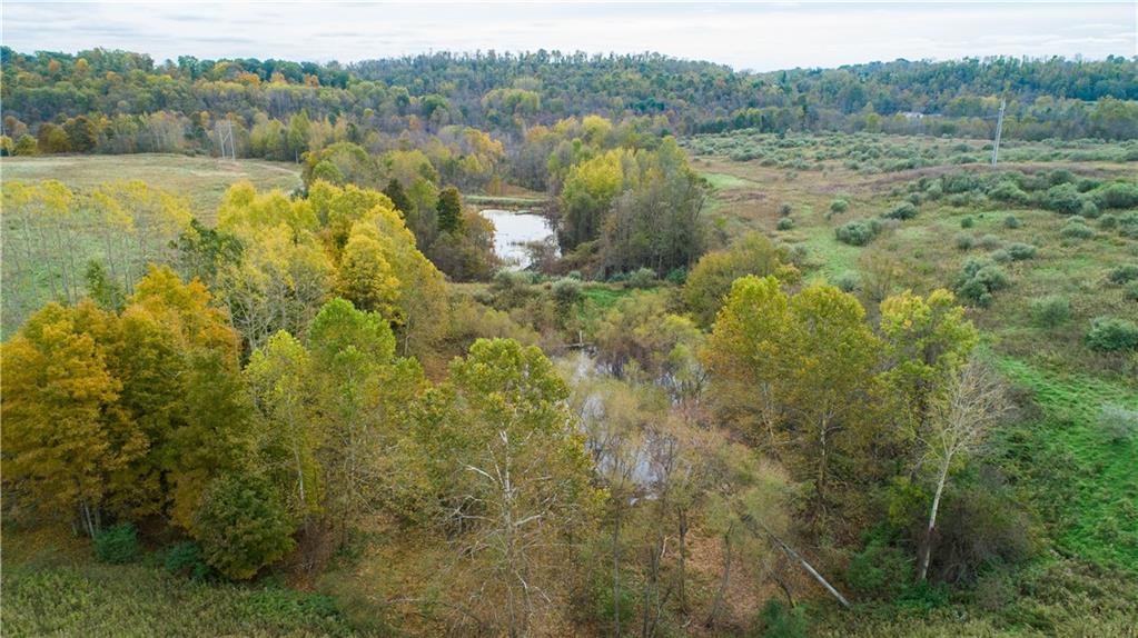 750 North Branch Road McDonald, PA 15057 - Photo 9 of 17 a view of a lake with a yard