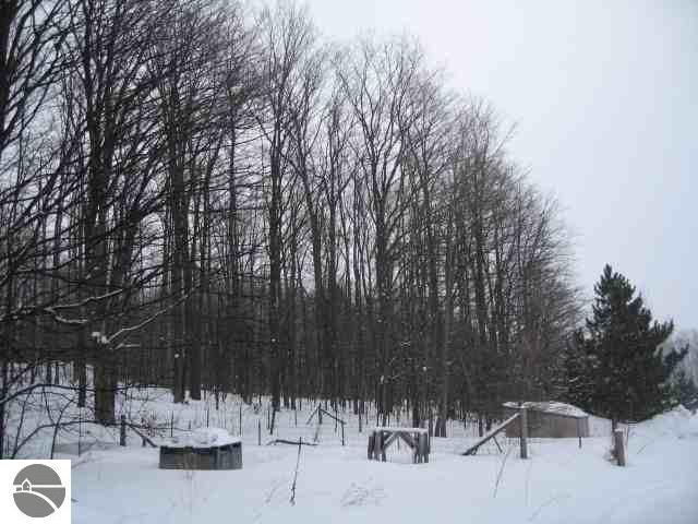 4303 East Hohnke Road Cedar, MI 49621 - Photo 13 of 15 1712765-12.JPG